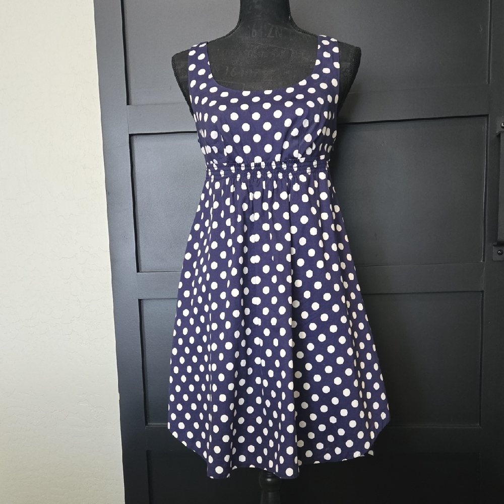 Navy Polka Dot Dress From Anthropologie